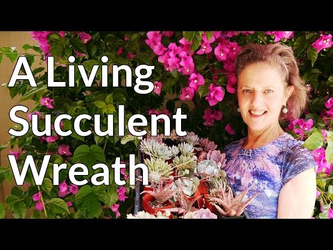 Easy Steps To Making A Living Succulent Wreath