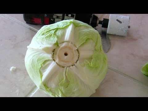 Easy peeling hole saw cabbage rolls