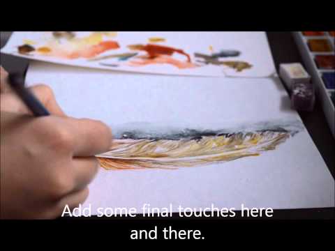 Easy step by step tutorial: How to paint a feather with watercolours