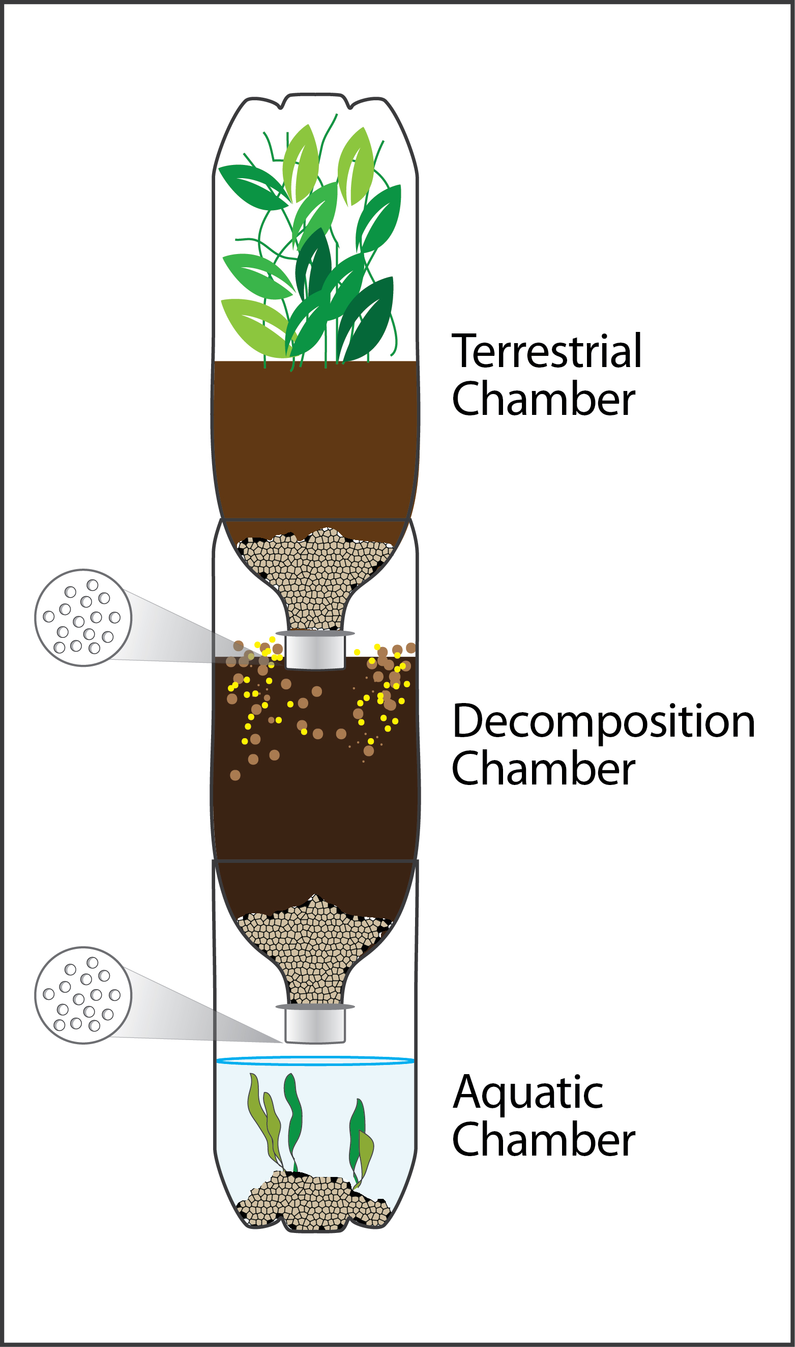 Eco Diagram 3.jpg