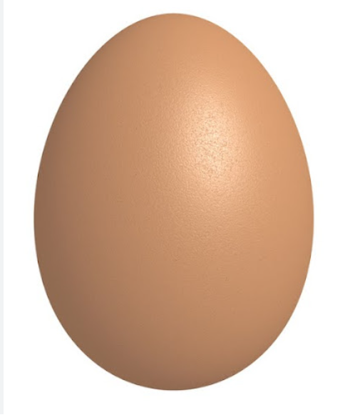 Egg Image.PNG