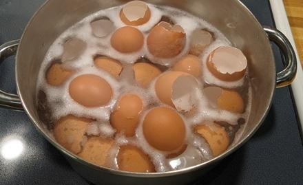 Egg Shells.jpg