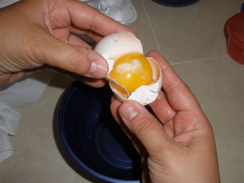 Egg Step_0003.jpg