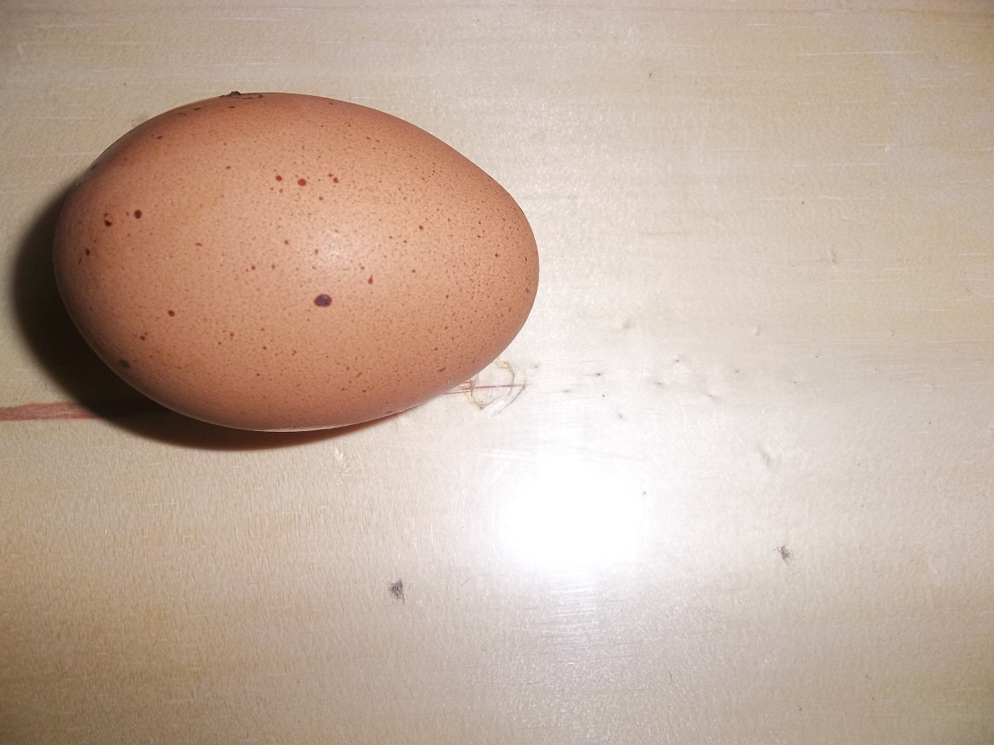 Egg.JPG