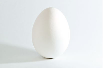 Egg.bmp