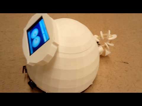 Eggie, Pi Robot 1