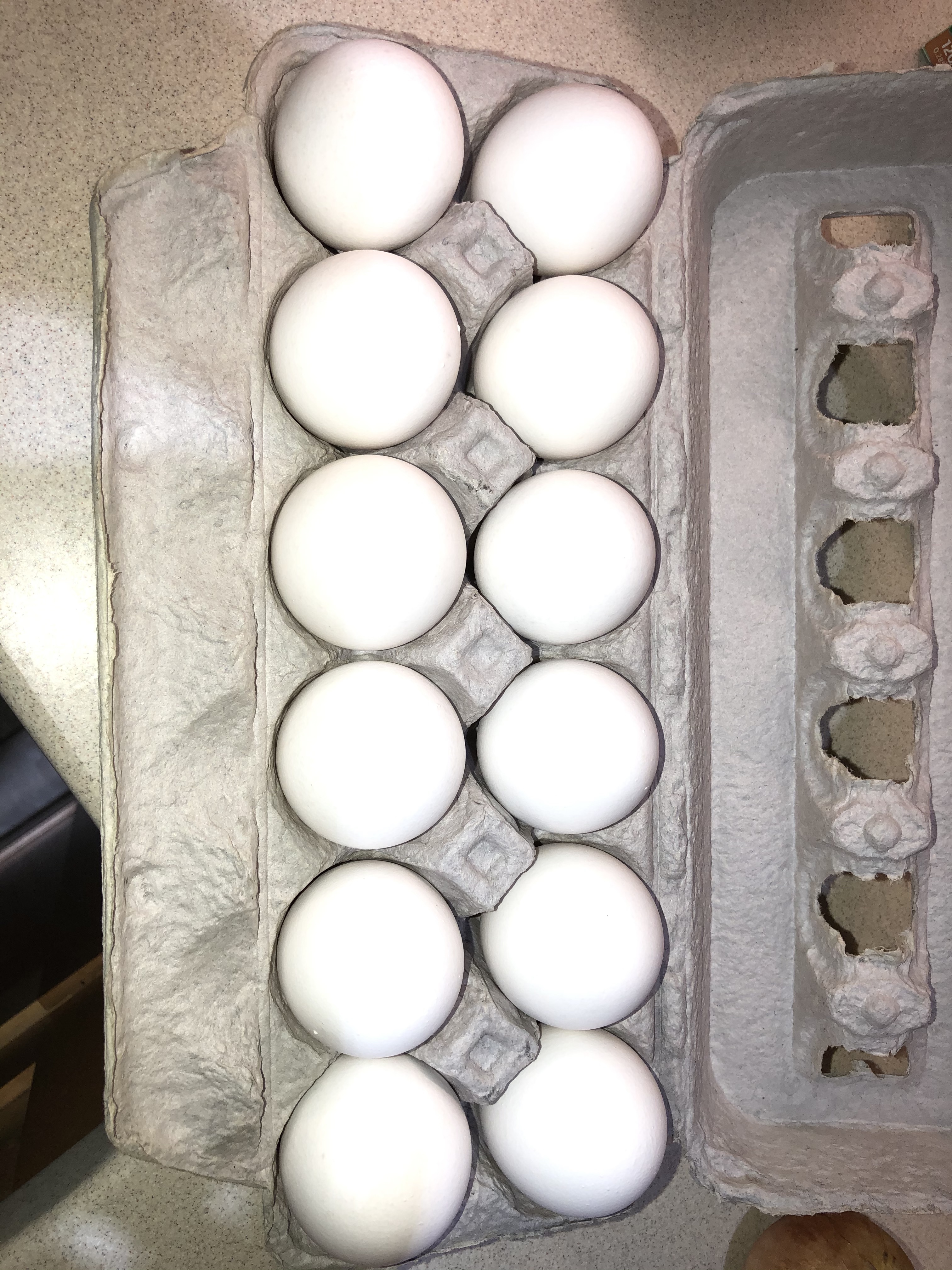 Eggs.jpg