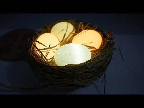 Eggshell homemade amazing bird's nest photosensitive night light