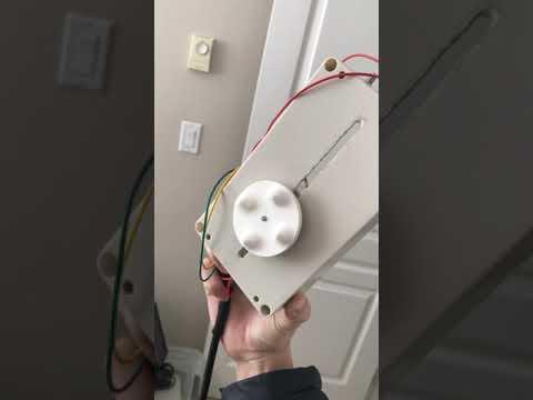 Electric Motor Back Scratcher