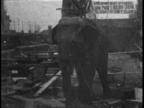 Electrocuting an Elephant (1903) - WARNING: Viewer Discretion - Disturbing Footage - Thomas Edison