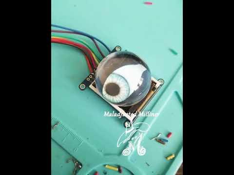 Electronic Animated Eye