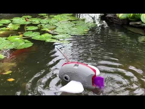 Emilia Dobek: Angler Fish Robot