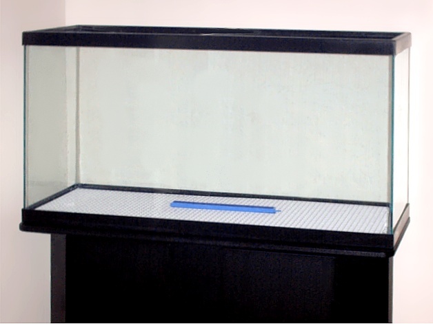 Empty_aquarium.jpg