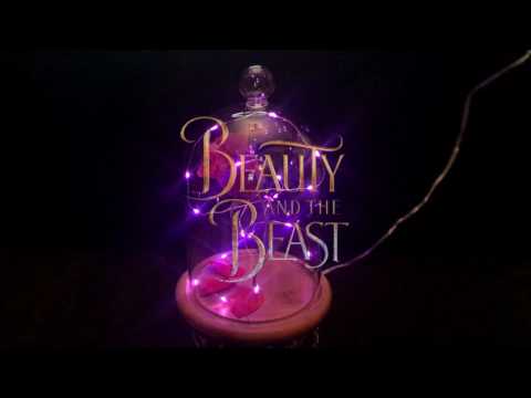 Enchanted Rose - Beauty and the Beast