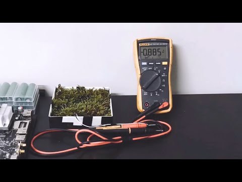 Energy Harvesting from Moss (Instruction in the Link) - Charging in Florescent Light