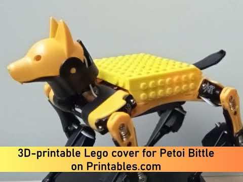 Enhancing Bittle the Robot Dog with Lego