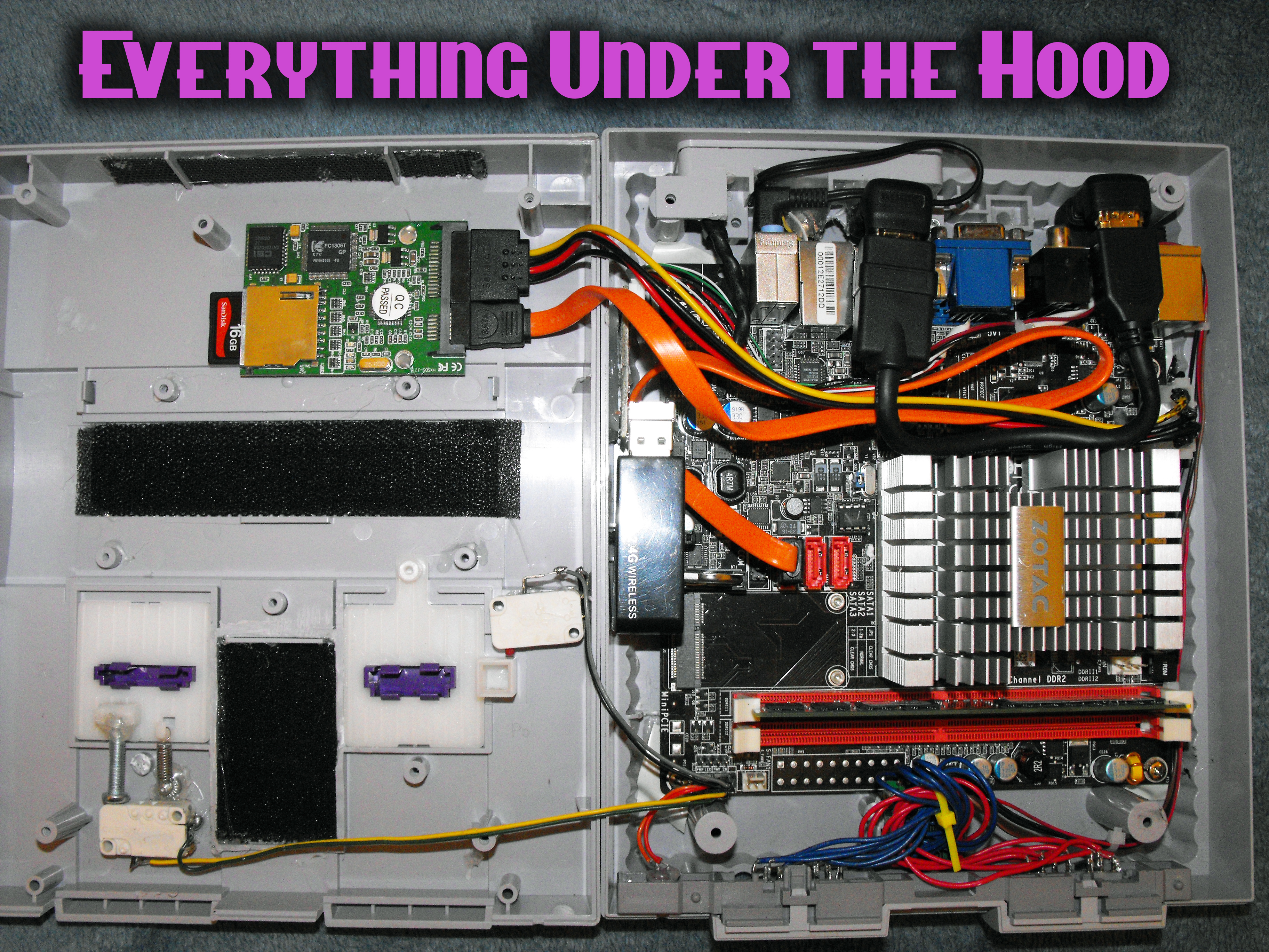 Everything under hood.jpg