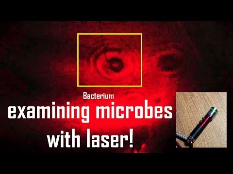 Examining Microbes with Laser!