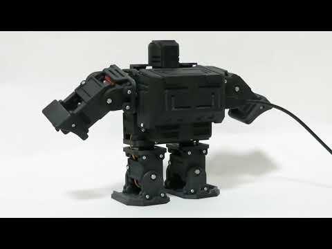 Exercise Raspberry Pi Pico Bipedal Robot - Remote Control