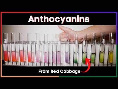 Extracting Anthocyanins: a Natural pH Indicator #pH #extraction