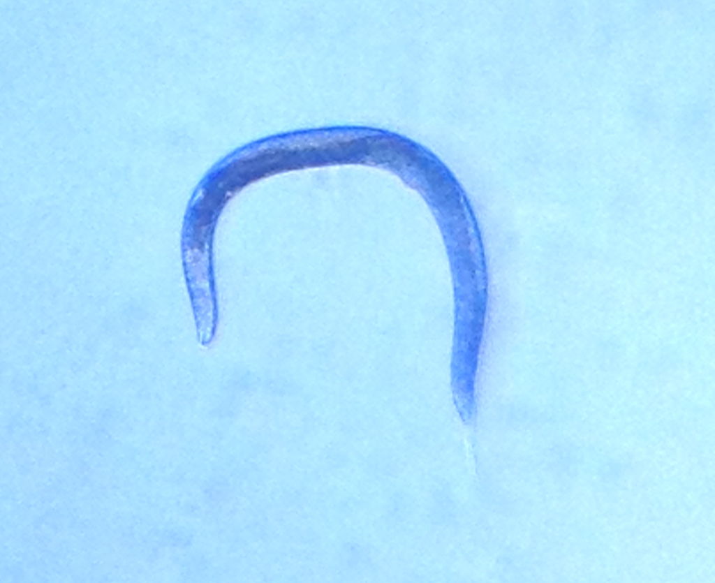F5M33HPHMMF777S.LARGE.jpg