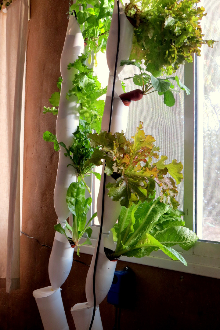 FARMIT Window Farm.jpg