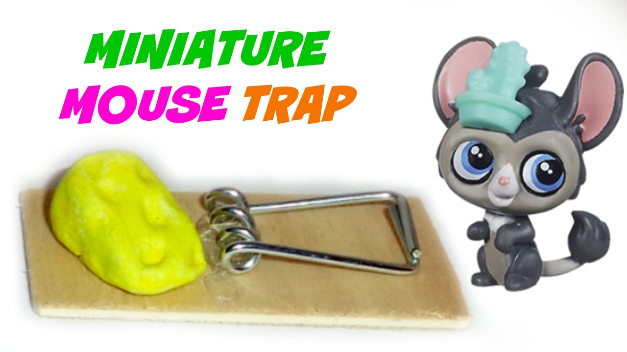 FC MOUSE TRAP.jpg