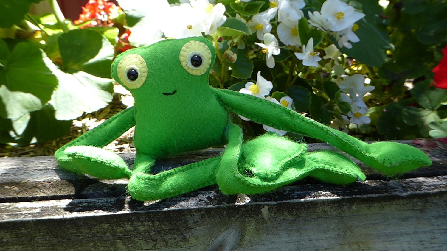 Felt frog pal complete 2.JPG