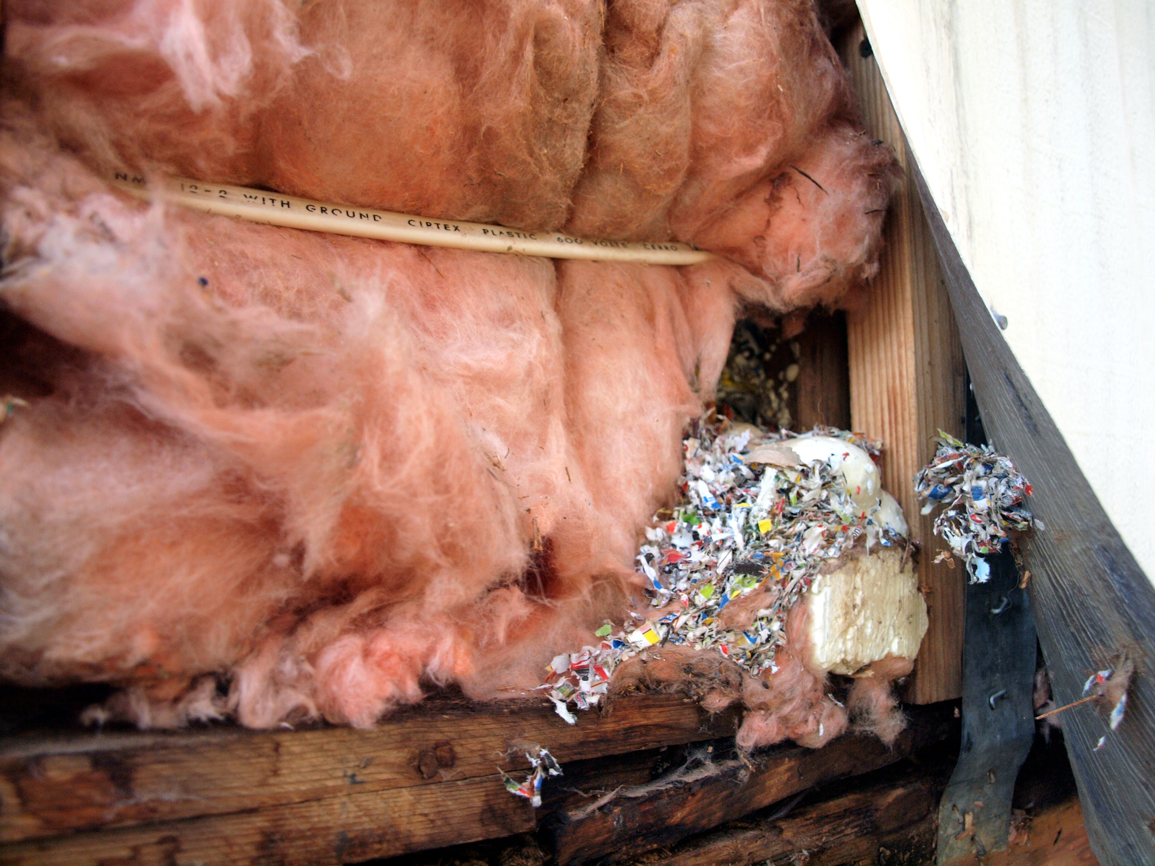 Fiberglass1C.jpg