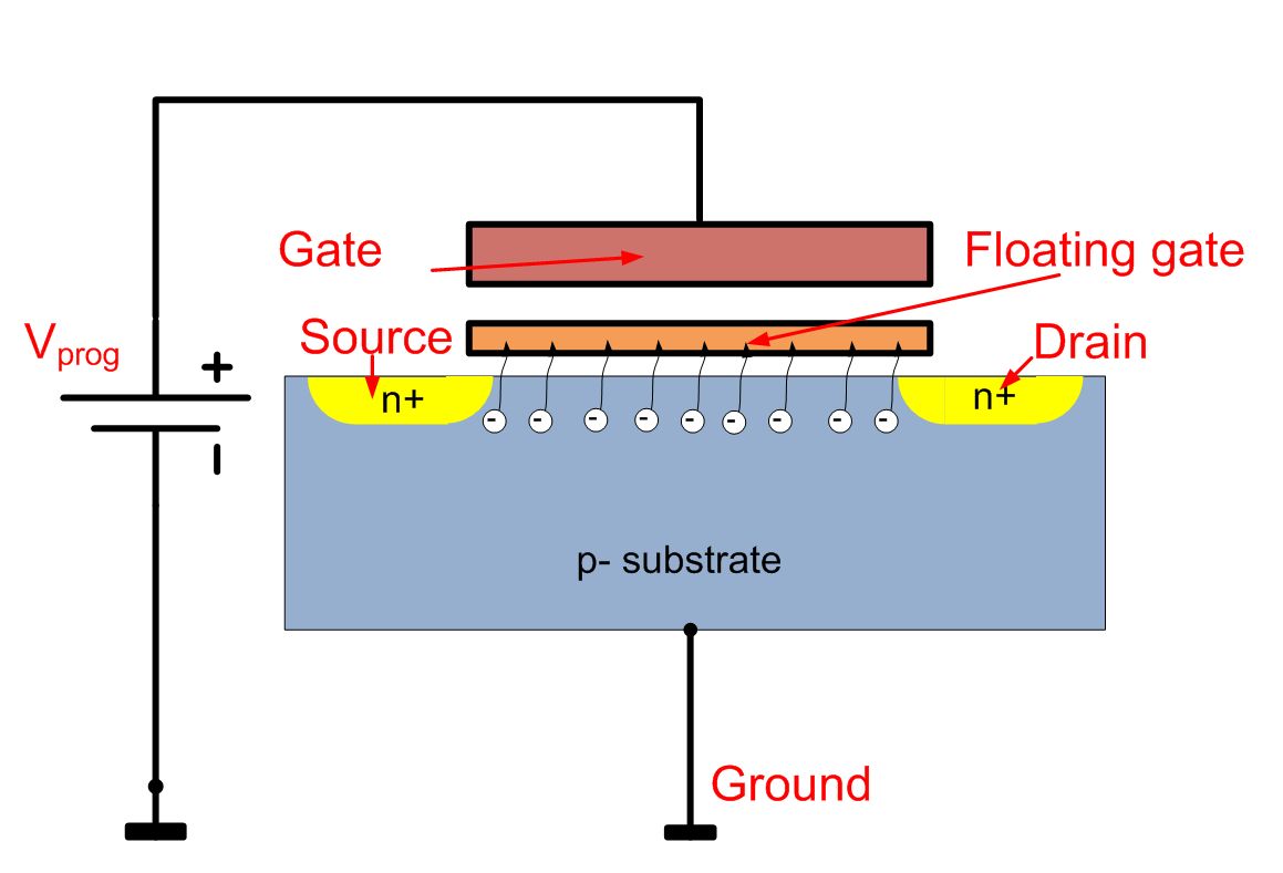 Fig.1.jpg