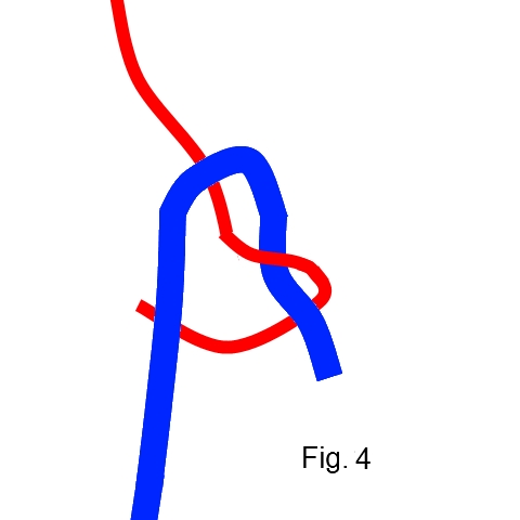 Fig4.jpg