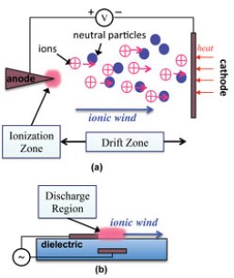 Fig_11 (1).jpg