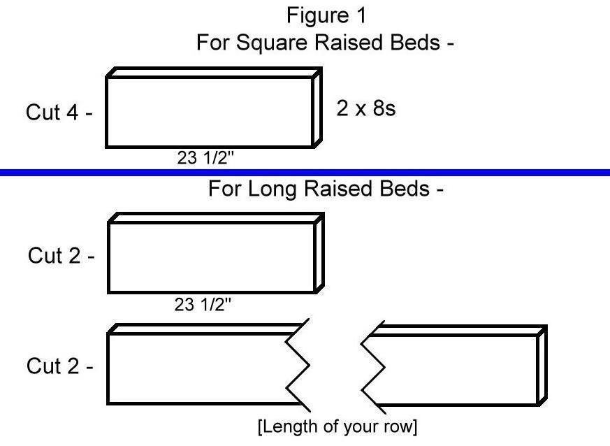 Figure 1.jpg