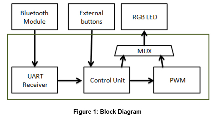 Figure 1.jpg