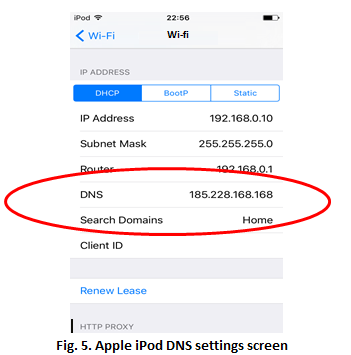 Figure 5 Apple iPod DNS.png