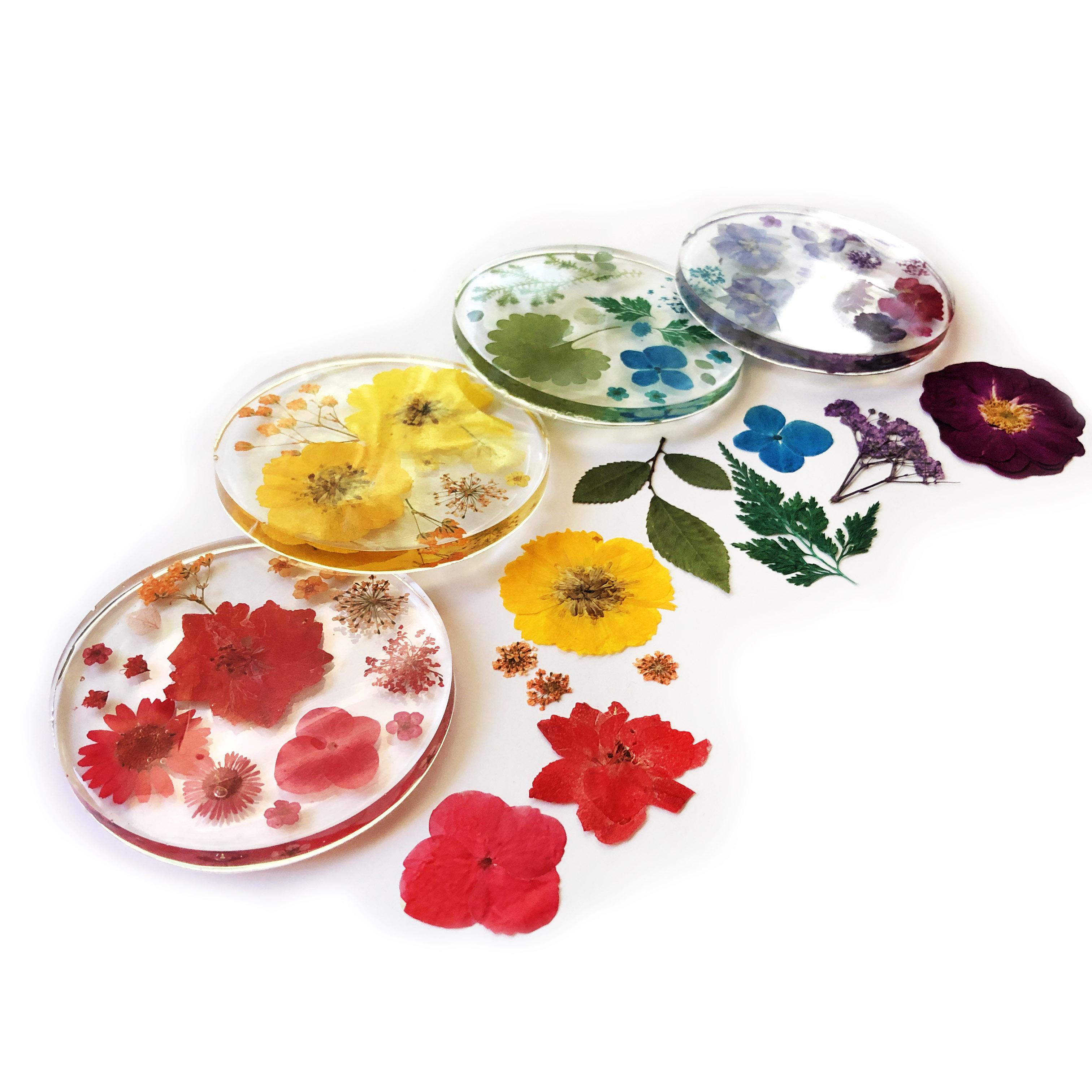 Fin Rainbow Coasters Flowers 02 SM 2619.jpg