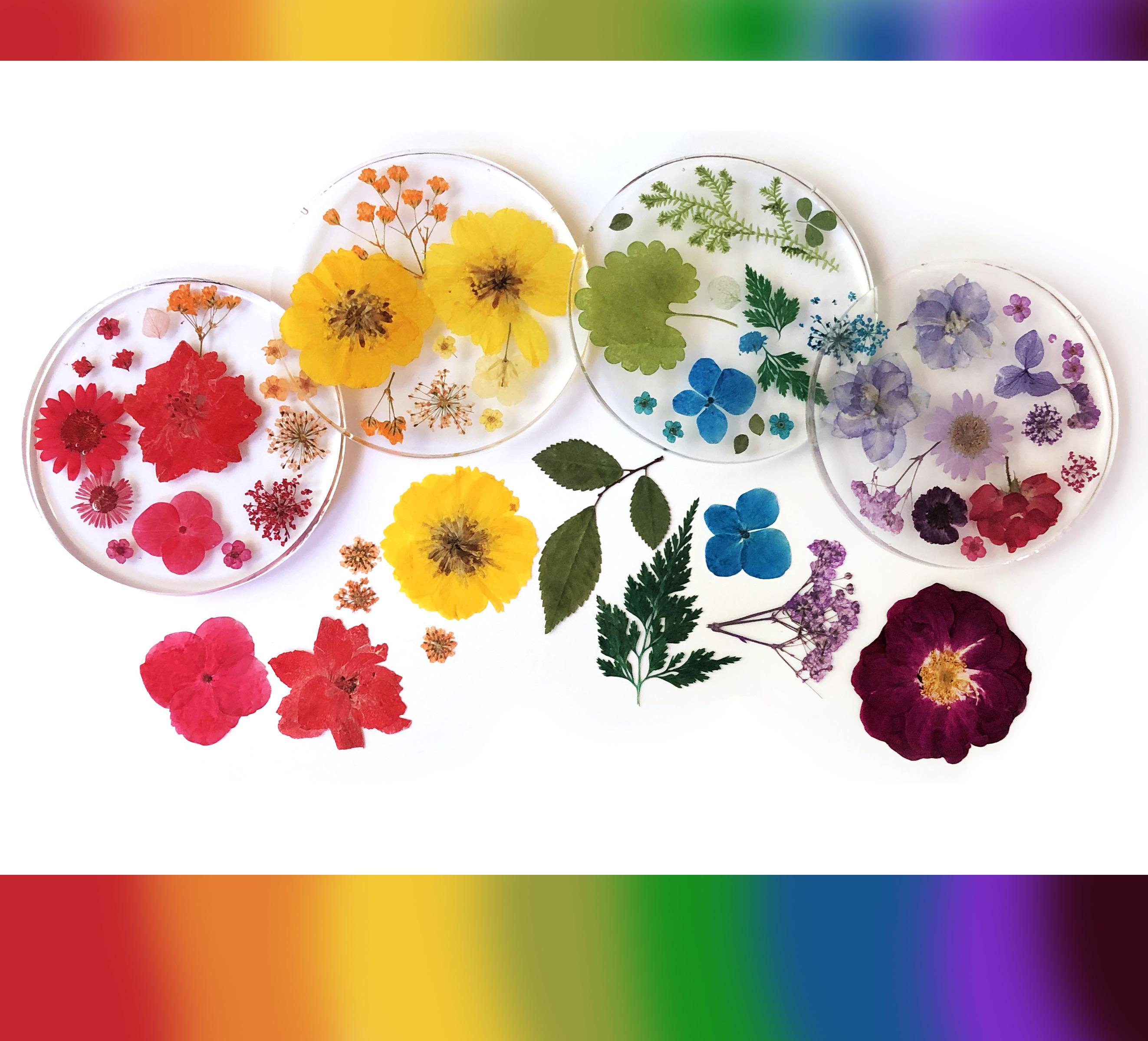 Fin Rainbow Coasters Flowers 05 SM 2621.jpg