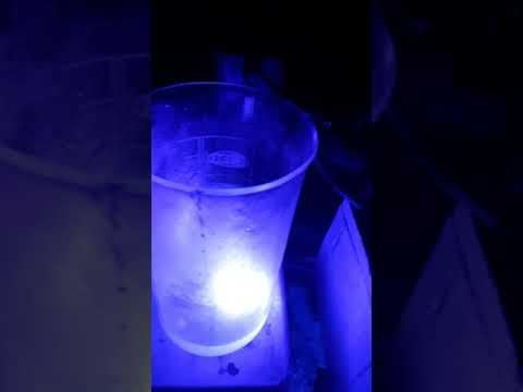 Fine Sucrose Quantum dots Part 2.