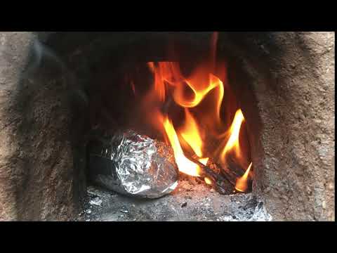 Fire-roasted corn on the cob in a clay earth cob oven