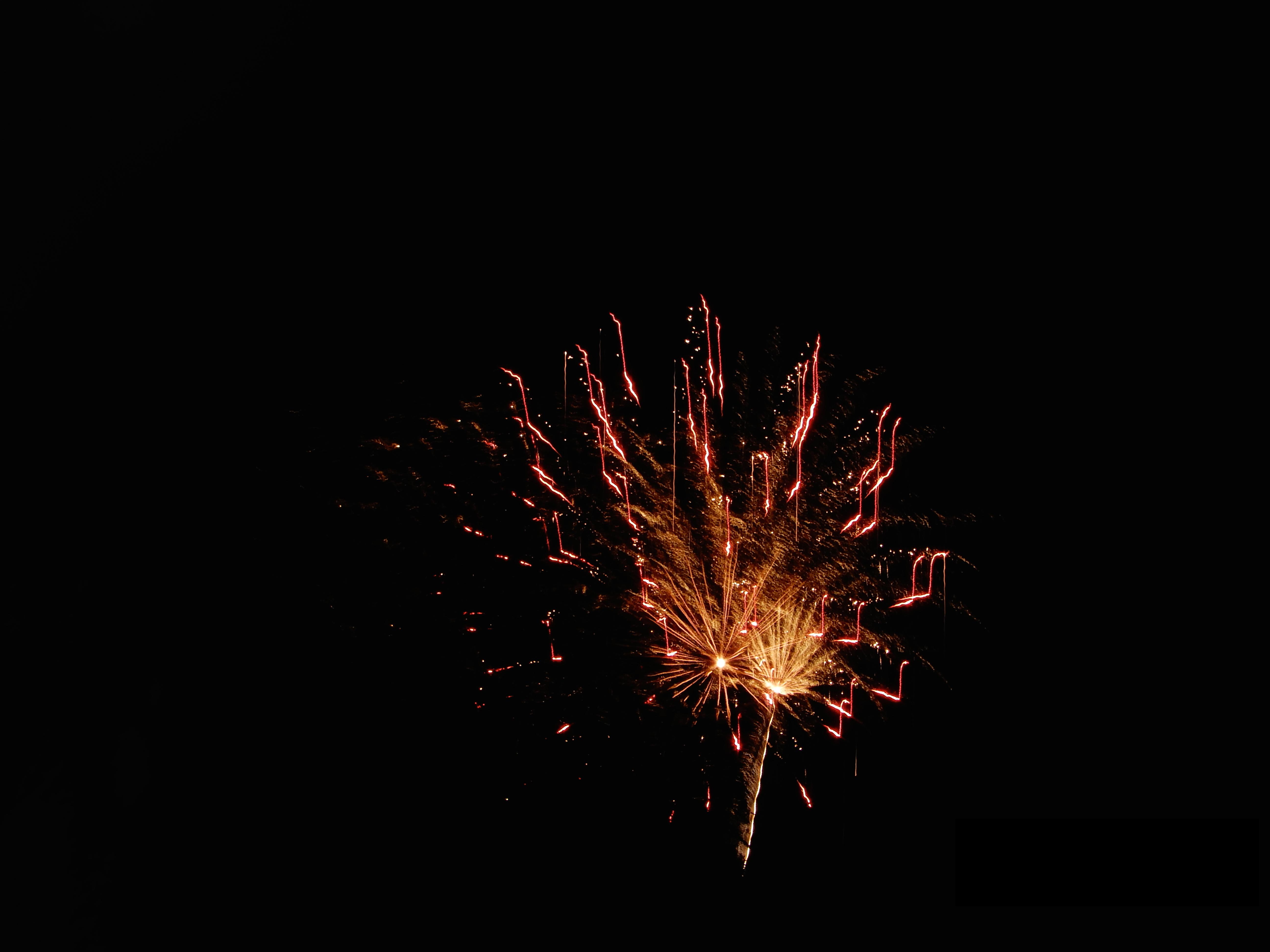 Fireworks DSCN1840.jpeg