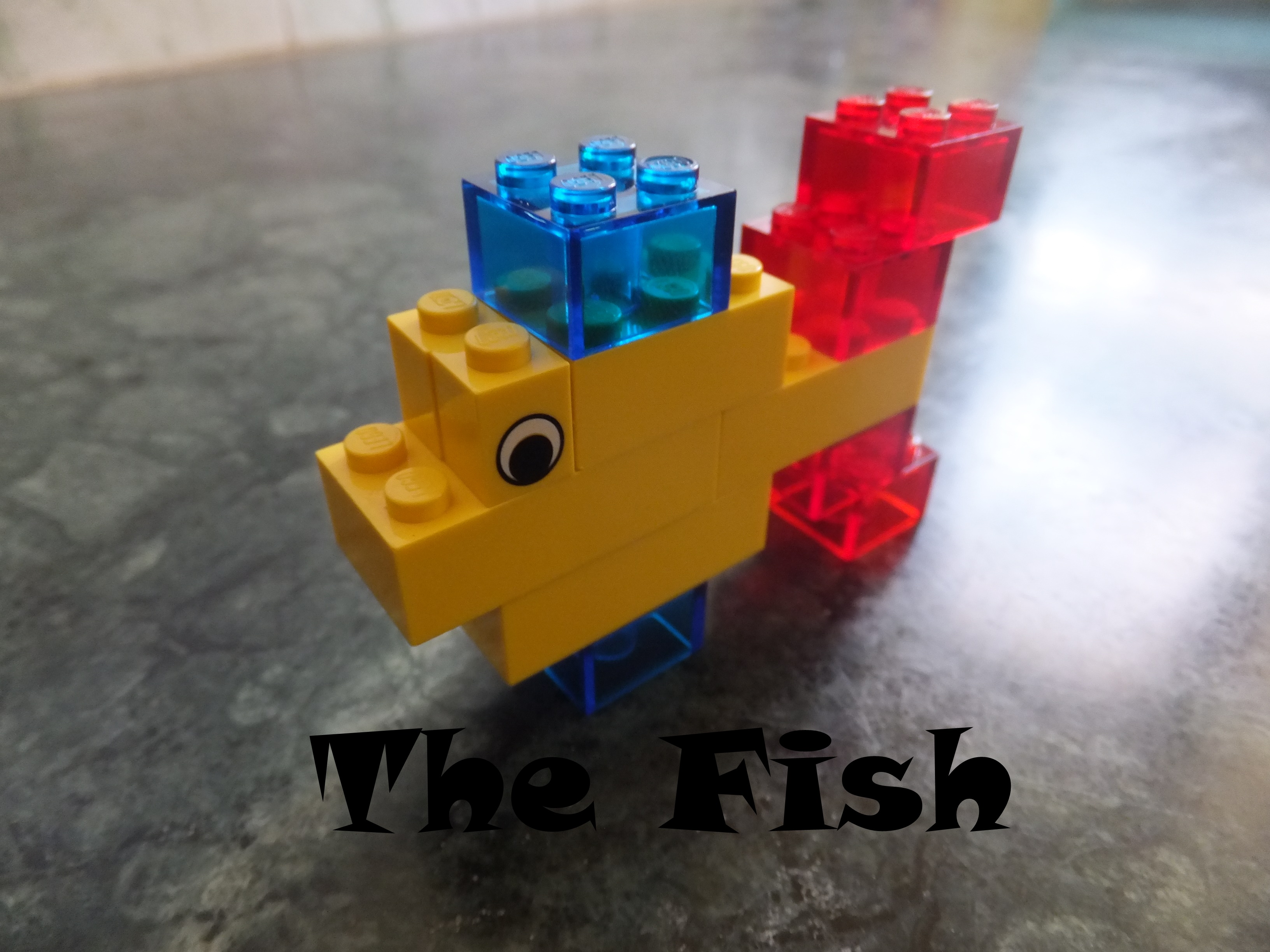 Fish Cover.JPG