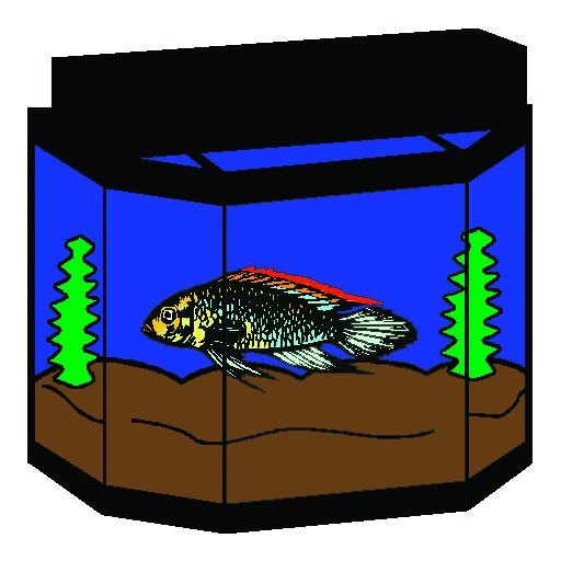 Fish Tank color.jpg