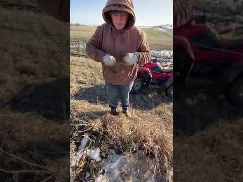 Fixing Barbed Wire