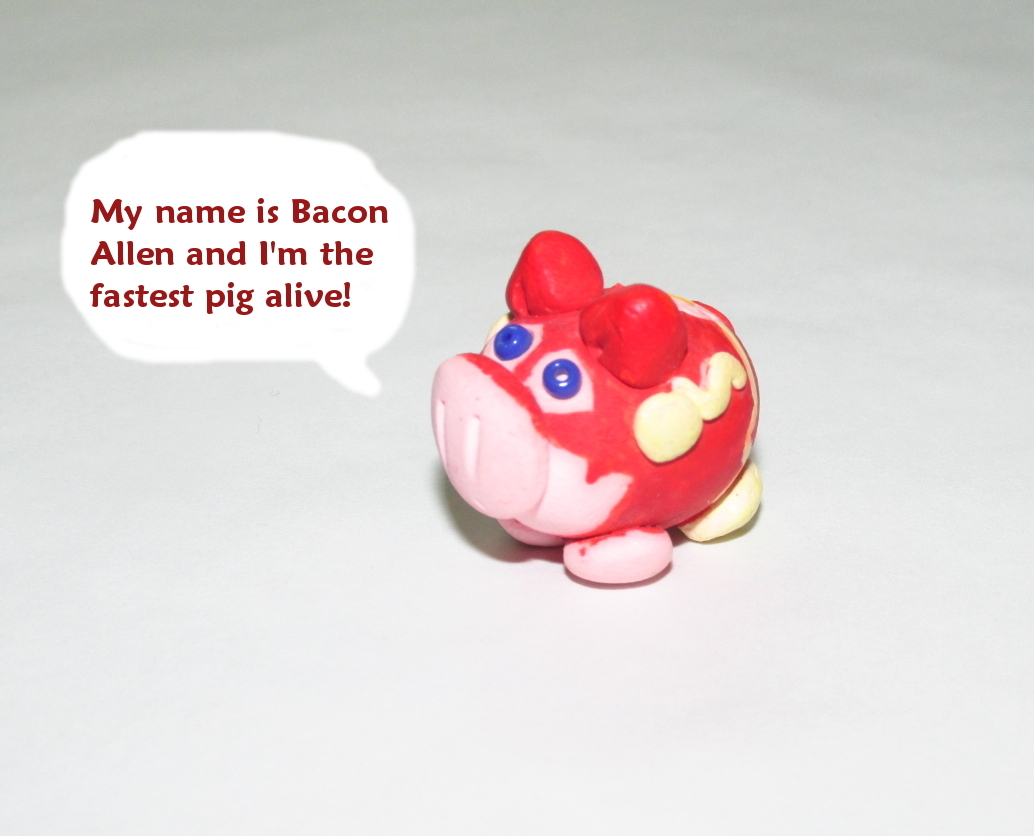 Flash pig pic silly.JPG