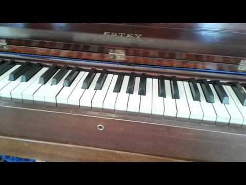 Flight of the Bumblebee on the DIY 88 key Player Reed Organ