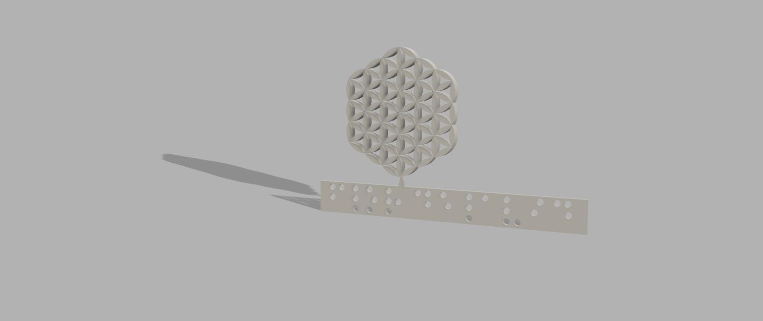 Flor de la Vida Braille Ampa Andreu.jpg