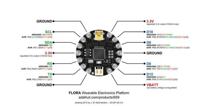 Flora Pinout.jpg