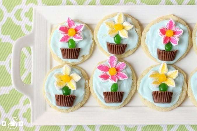 Flower-Pot-Cookies.BSB_.top_.IMG_7727.jpg