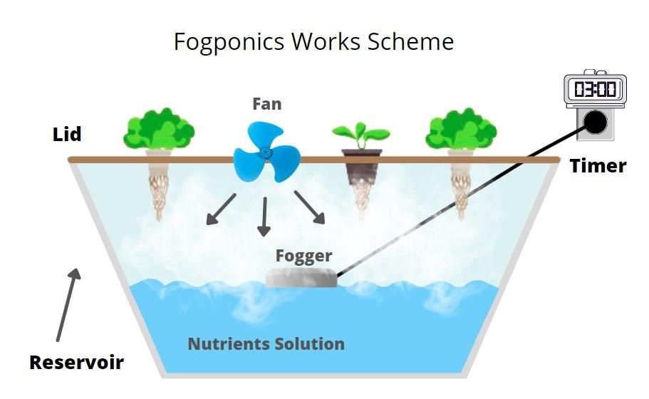 Fogponics-Works-Scheme.jpg