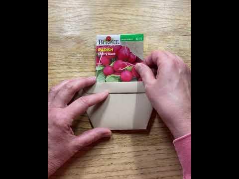 Folding a Decorative Paper Pot for Seeds